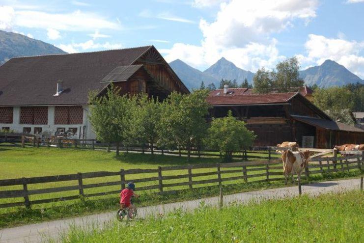 Apartmán Karnerhof Mariapfarr Exteriér fotografie