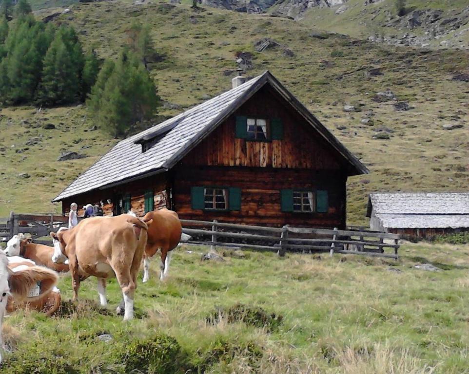 Apartmán Karnerhof Mariapfarr Exteriér fotografie