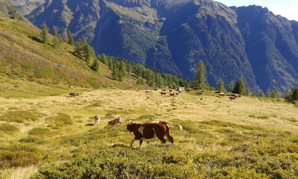 Apartmán Karnerhof Mariapfarr Exteriér fotografie